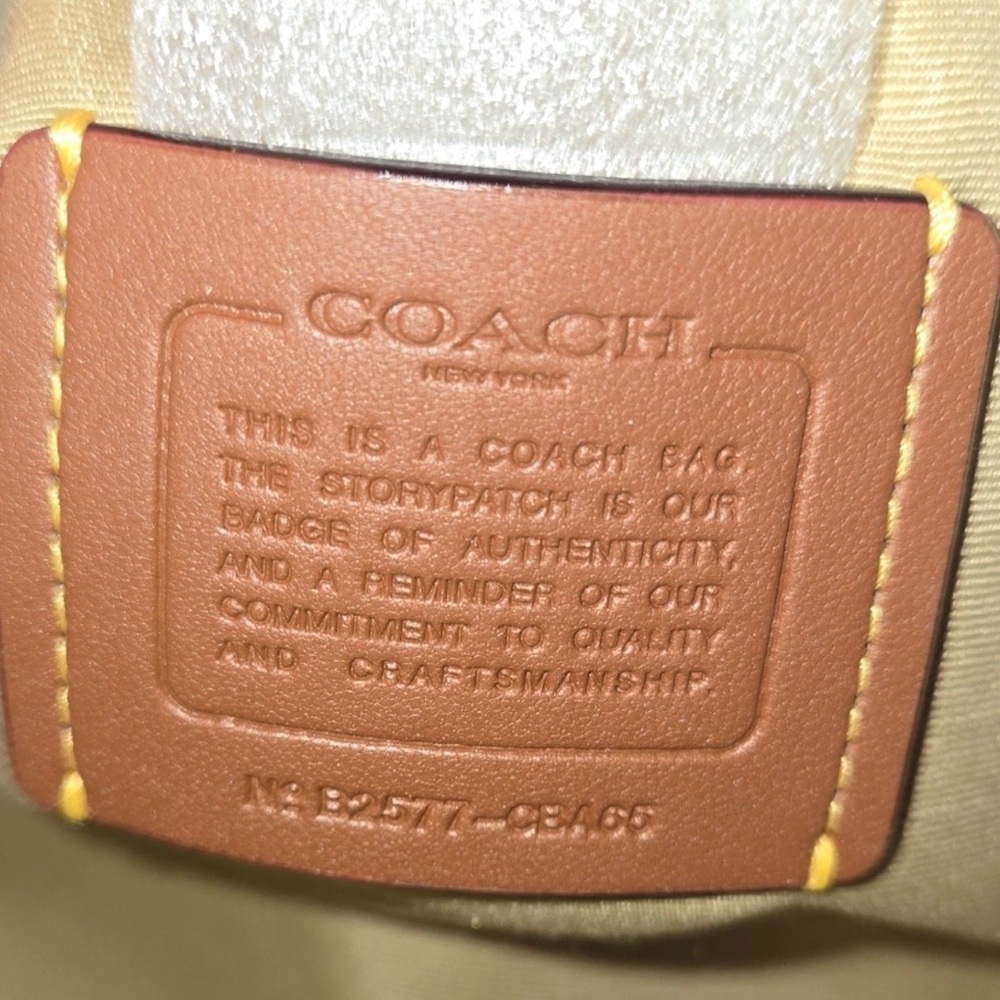 NWT Coach Jaime Camera Bag Strawberry Graphic Pebbled Leather - Picture 4 of 8